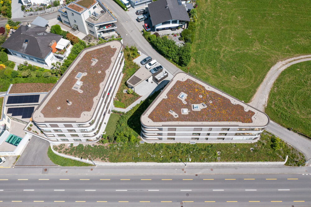 Neubau Belvoir in Sachseln