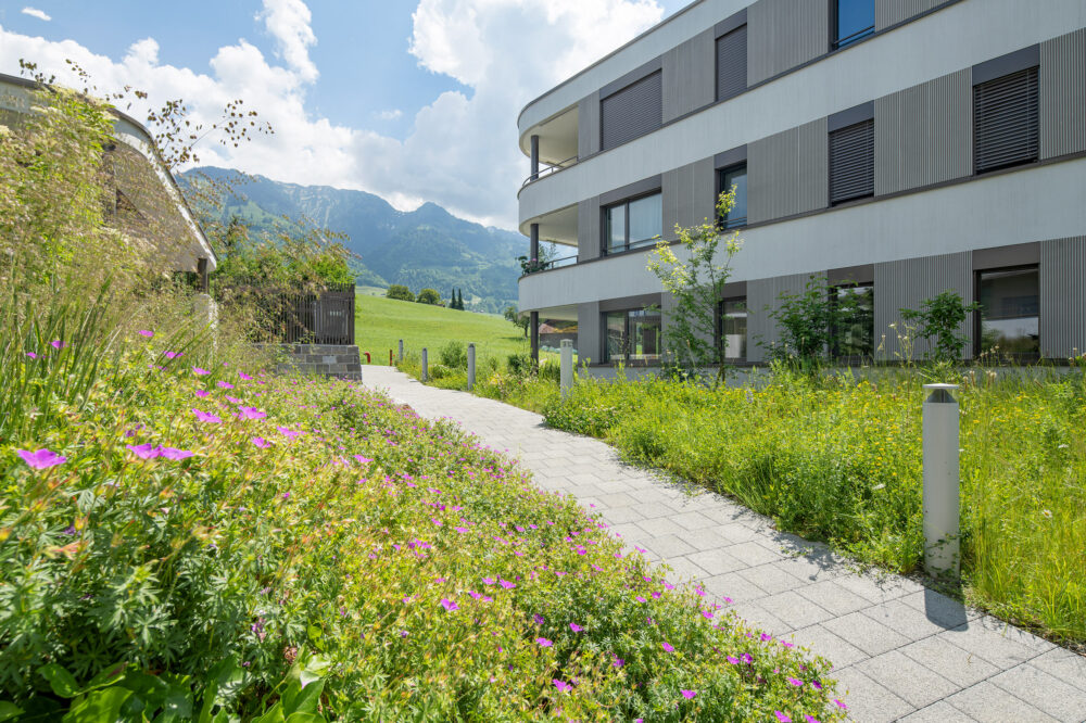 Neubau Belvoir in Sachseln